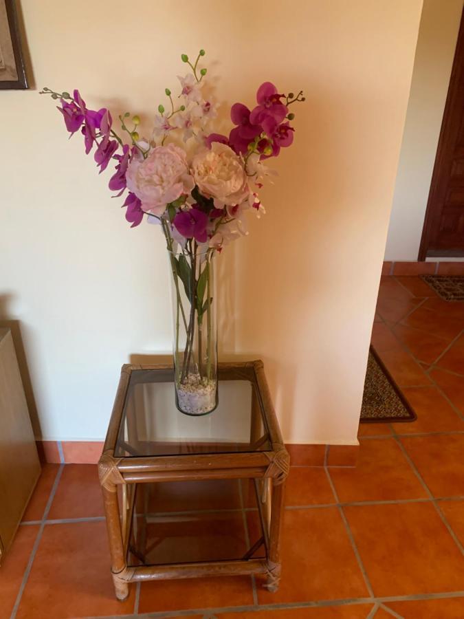 Casa Fraile San Miguel San Miguel de Allende Exterior foto